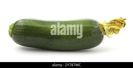 Grüne junge Zucchini isoliert auf weißem Hintergrund. Nahrhaftes Gemüse mit Vitaminen Stockfoto