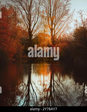 Vertikales Foto mit Sonne, die einen goldenen Baum im Herbst hervorhebt, der sich vom Wasser reflektiert und freien Raum bietet Stockfoto