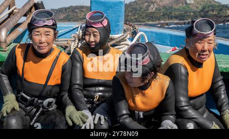 The Last of the Sea Women (2024) unter der Regie von Sue Kim. Dokumentarfilm über eine wilde Gruppe südkoreanischer Taucher auf der Insel Jeju, die für die Rettung ihrer verschwindenden Kultur kämpfen. Werbefoto ***NUR REDAKTIONELLE VERWENDUNG***. Kredit: BFA/Hasisi Park/Apple TV+ Stockfoto