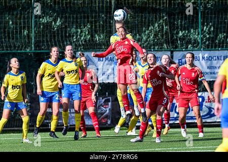 Wajnblum Lola (23) von Standard im Rahmen eines Frauenfußballspiels zwischen KVC Westerlo Ladies und Standard Femina am 5. Spieltag der Saison 2024 - 2025 der Belgischen Lotto Womens Super League am Samstag, den 28 . September 2024 in Westerlo , BELGIEN . FOTO SPORTPIX | Stijn Audooren Stockfoto