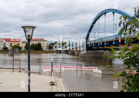 Frankfurt/oder, 26. September 2024: Der Wasserstand der oder hat 6 m überschritten, Teile der Uferseite sind überflutet. Stockfoto