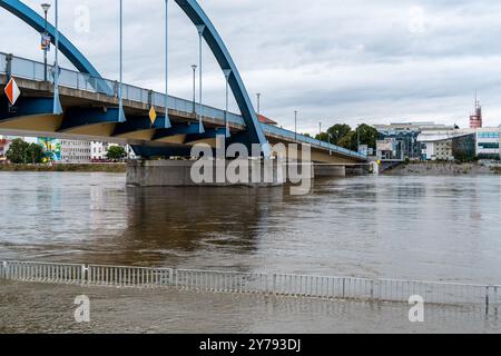 Frankfurt/oder, 26. September 2024: Der Wasserstand der oder hat 6 m überschritten, Teile der Uferseite sind überflutet. Stockfoto