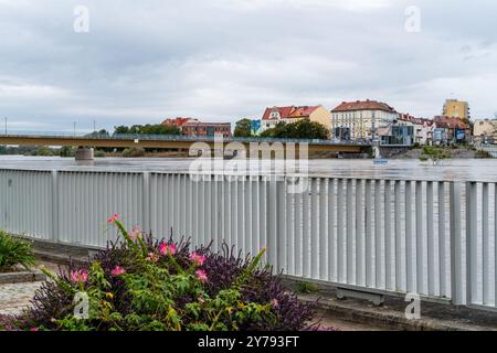 Frankfurt/oder, 26. September 2024: Der Wasserstand der oder hat 6 m überschritten, Teile der Uferseite sind überflutet. Stockfoto