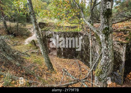 Alte Küste Batareya Raul im Nationalpark Kurische Nehrung. Morskoe. Region Kaliningrad. Russland Stockfoto