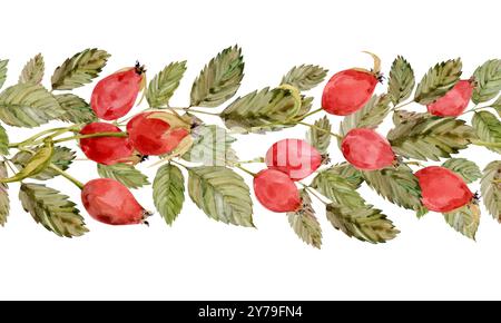 Aquarellrand von Rosenhüften, Beeren und grünen Blättern isoliert auf weißem Hintergrund. Nahtloses Muster. Handgezeichnete botanische Hüftrosen. Clipa Stockfoto