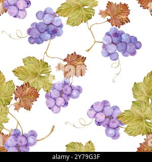 Nahtloser Hintergrund mit Weinrebe. Wasserfarben Flieder Herbsttrauben Beeren und Blätter. Illustrationen für Weinetiketten, Traubensaft, Restaurantmänner Stockfoto