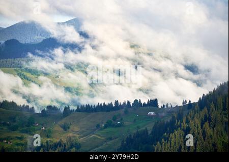 Malerische Szenerie des Bergtals mit Nebel bedeckt, mit grünen Weiden und verstreuten Häusern. Die Wolken ziehen sanft über bewaldete Hügel und schaffen eine ruhige und ruhige Atmosphäre. Stockfoto