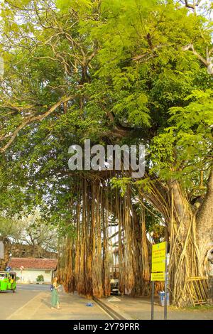 20. Januar 2019, Galle, Sri Lanka Souvenirs in der Galle Festung Stockfoto