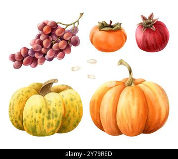 Oktober Herbst Gemüse und Früchte Aquarell Illustration Set. Gelb-orange Kürbisse mit Samen, Trauben, Granatapfel Stockfoto