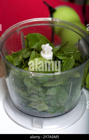 Spinat und Minze in einem Mixbecher zum Zerkleinern. Für die Herstellung von Keksrollen mit Spinat und Minze. Mit Erdbeeren gefüllt. Zutaten zum Kochen. Stockfoto