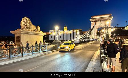 Nachtblick auf die Kettenbrücke in Budapest, Ungarn Stockfoto