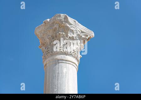 Antike griechische Säule mit Akanthusblättern-Dekoration. Ausgrabungsstätte Kourion, Bezirk Limassol, Zypern Stockfoto