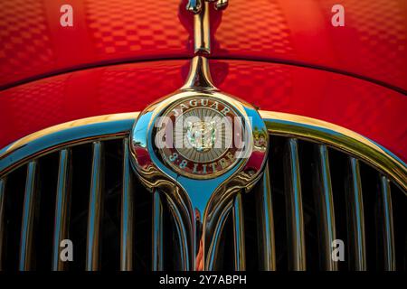 Zypern – 05. Mai 2015: Das verchromte Jaguar Emblem spiegelt sich auf einer roten Motorhaube Stockfoto