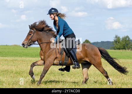 Junge Reiter im Galopp auf Rückseite ein Islandpferd Stockfoto