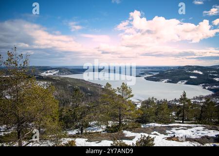 Ein Panoramablick auf die schneebedeckten Bäume in den Schneewehen. Magischer Winterwald Horizont. Stockfoto