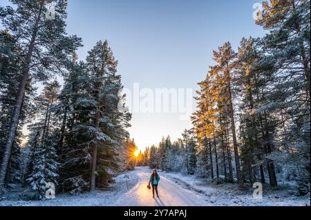 Eine einsame Frau, die die ruhige, schneebedeckte Küste mit Sonnenuntergang am Horizont, umgeben von Kiefern unter dem blauen Himmel, besucht Stockfoto