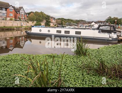 Northwich Quay Marina Stockfoto