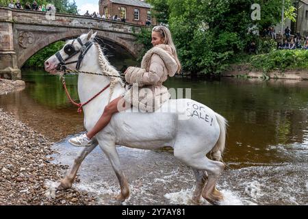 Appleby-in-Westmorland, Cumbria, England, Großbritannien. Juni 2024. 10.000 Reisende, romas und Zigeuner, steigen in die kleine Stadt Appleby in der Eden V Stockfoto