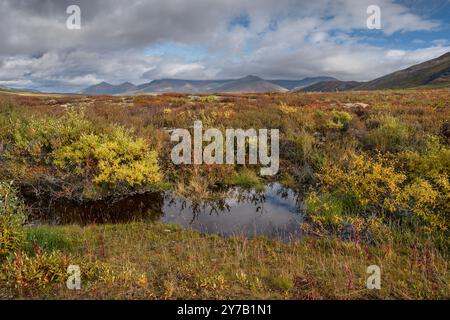 Herbstblick auf einen Tundra-Teich und die Ogilvie Mountains im Tombstone Territorial Park, Yukon, Kanada Stockfoto