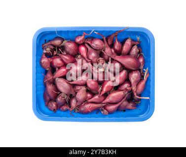 Rote Zwiebel sitzt in einem Plastikbehälter auf weißem Hintergrund. Stockfoto