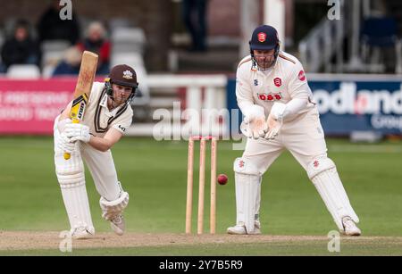 Surrey's Josh Blake schlug während des Spiels der Vitality County Championship auf dem Cloud County Ground in Chelmsford. Bilddatum: Sonntag, 29. September 2024. Stockfoto