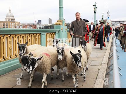 London, UK, 29. September 2024. Der Hollywood-Schauspieler Damian Lewis wurde für den Tag zum Möchtegern-Hirten, als er eine Schaf-Gruppe über die Southwark Bridge hütete. Die Schafe erhielten zuerst einen Segen und dann wurde Damian von Lord Mayor of London Michael Mainelli, Master Woolman Manny Cohen und Sheriffs of the City begleitet, als sie ihr historisches Recht aufnahmen, ihre Schafe gebührenfrei über die Themse zu fahren, während der großen Spendenaktion. Kredit : Monica Wells/Alamy Live News Stockfoto