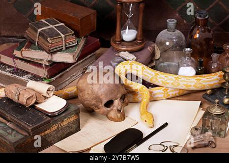 Alchemie Stillleben mit Lavendeltiger Albino Python Stockfoto