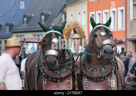 Mittweida, Deutschland. September 2024. Teilnehmer an der Parade durch das Stadtzentrum am Ende des 25. State Harvest Festivals. Das dreitägige Spektakel zog Zehntausende Besucher in die Universitätsstadt in Mittelsachsen. Das Festival findet nächstes Jahr in Hoyerswerda statt. Quelle: Sebastian Willnow/dpa/ZB/dpa/Alamy Live News Stockfoto