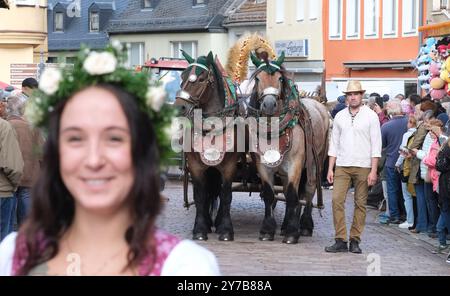 Mittweida, Deutschland. September 2024. Teilnehmer an der Parade durch das Stadtzentrum am Ende des 25. State Harvest Festivals. Das dreitägige Spektakel zog Zehntausende Besucher in die Universitätsstadt in Mittelsachsen. Das Festival findet nächstes Jahr in Hoyerswerda statt. Quelle: Sebastian Willnow/dpa/ZB/dpa/Alamy Live News Stockfoto