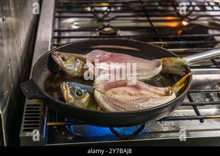 Zwei filetiert gebratene Fische in einer Gusseisenpfanne auf dem Gasherd, die Flamme darunter deutlich sichtbar. Morgenitz, Gemeinde Mellenthin, Mecklenburg-Vorpommern, Deutschland. Stockfoto