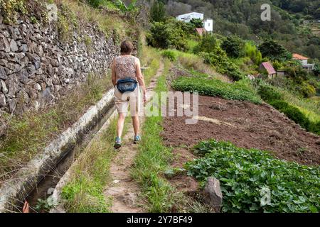 Spaziergang entlang der Levada dos Marocos a Levada auf der portugiesischen Insel Madeira zwischen der zweitgrößten Stadt auf der Insel Machico und Marocos Stockfoto