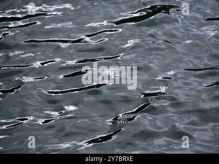 Wanderung rund um den Offensee, im oberösterreichischen Salzkammergut, am 29.09.2024. Das Bild zeigt Wellen an der Wasseroberfläche des Offensees. Wasserbild 2024 - Wanderung rund um den Offensee, im oberösterreichischen Salzkammergut, am 29.09.2024. *** Wanderung um den Offensee, im oberösterreichischen Salzkammergut, am 29 09 2024 das Bild zeigt Wellen auf der Wasseroberfläche des Offenseewasserbildes 2024 Wanderung um den Offensee, im oberösterreichischen Salzkammergut, am 29 09 2024 Stockfoto