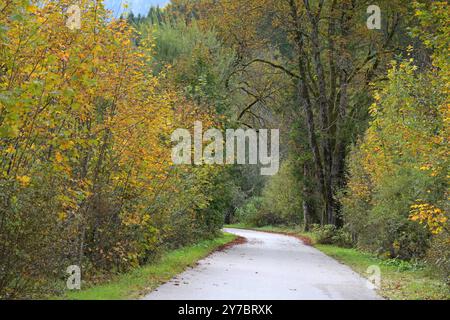 Wanderung rund um den Offensee, im oberösterreichischen Salzkammergut, am 29.09.2024. Das Bild zeigt den Wanderweg rund um den Offensee, mit Herbststimmung 2024 - Wanderung rund um den Offensee, im oberösterreichischen Salzkammergut, am 29.09.2024. *** Wanderung rund um den Offensee, im oberösterreichischen Salzkammergut, am 29 09 2024 das Bild zeigt den Wanderweg rund um den Offensee, mit Herbstatmosphäre 2024 Wanderung rund um den Offensee, im oberösterreichischen Salzkammergut, am 29 09 2024 Stockfoto