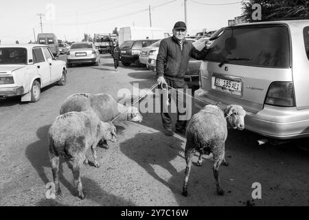 Kirgisistan, Karakol, Viehmarkt Stockfoto