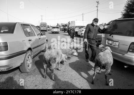 Kirgisistan, Karakol, Viehmarkt Stockfoto