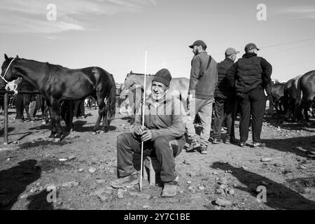 Kirgisistan, Karakol, Viehmarkt Stockfoto