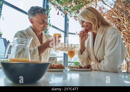 Wunderschönes reifes Paar in Bademänteln, das zusammen frühstückt, während es Zeit in der Küche verbringt Stockfoto