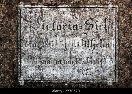 Die verwitterte Inschrift auf einer Gedenktafel am Victoria View auf der Insel Rügen ist mit Flechten und Moos bedeckt. Die gotischen Buchstaben sind noch erkennbar: "Victoria View, hier von König Wilhelm I. am 10. Juni 1865 benannt". Der raue Sandstein der Tafel zeigt deutliche Verwitterungsspuren. Hochuferweg Sassnitz–Königsstuhl, Sassnitz, Mecklenburg-Vorpommern, Deutschland. Stockfoto