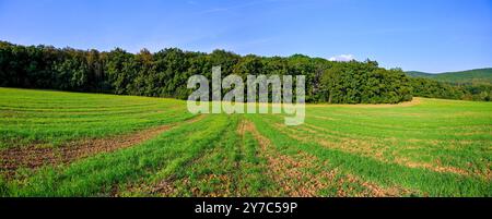 HDR-Panorama der Landschaft. tschechische republik - europa. Wunderschönes Bild der Natur. Wiese und Feld mit Wald. Konzept für Umwelt, Landwirtschaft und Stockfoto