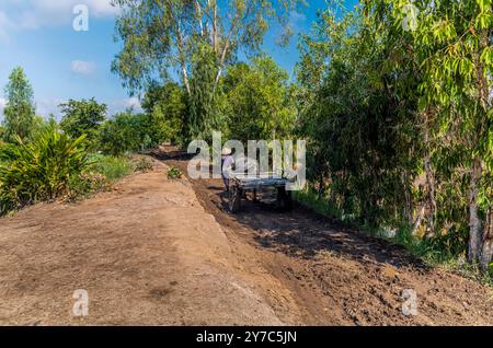 Ein Bauer und sein Wasserbüffel plündern einen Wagen auf einer Farm in Vietnam Stockfoto