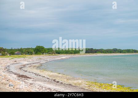 Ulvshale Strand auf der Insel Mon in Dänemark Stockfoto