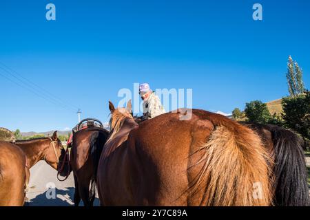 Kirgisistan, Chon-Kemin, Reiter Stockfoto