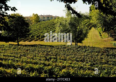 Eingebettet zwischen den Weinbergen an den Hängen von Montello befindet sich die Abtei Sant'Eustachio in Nervesa della Battaglia. Ein altes Benediktinerkloster Stockfoto