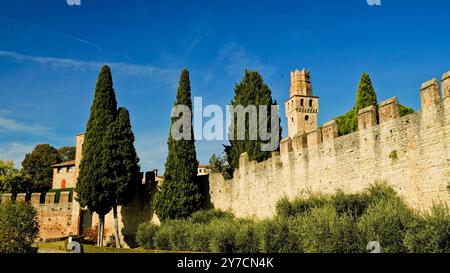 Schloss San Salvatore, Collalto, Treviso. Veneto, Italien Stockfoto