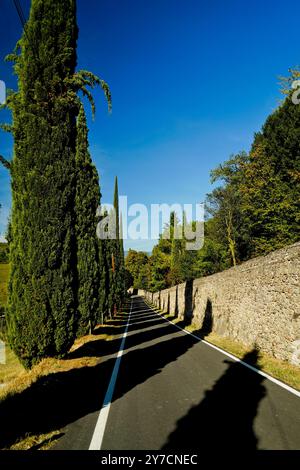 Schloss San Salvatore, Collalto, Treviso. Veneto, Italien Stockfoto