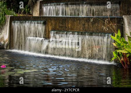 Dieses Bild zeigt eine Wasserkaskade in einem üppigen Garten, in dem mehrere Wasserstufen in den ruhigen Teich darunter fließen und ein ruhiges A schaffen Stockfoto