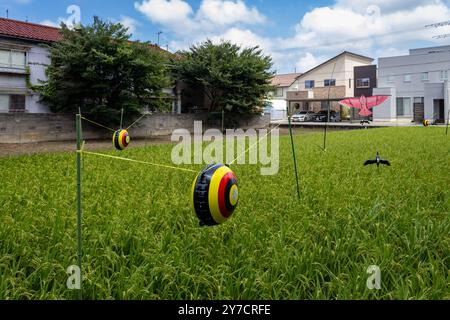 Vogelabwehrobjekte im städtischen Reisfeld, Kanazawa, Japan Stockfoto