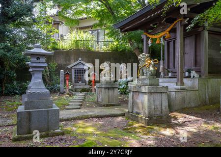 Heiliges Seil oder Shimenawa und Zickzack-Streamer oder shide am kleinen lokalen shinto-Schrein in Kanazawa, Japan Stockfoto