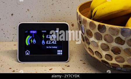 Intelligenter Energiemesser für den Haushalt, der Strom- und Gasverbrauch mit einer Schüssel Bananen auf einer Küchenarbeitsplatte anzeigt Stockfoto