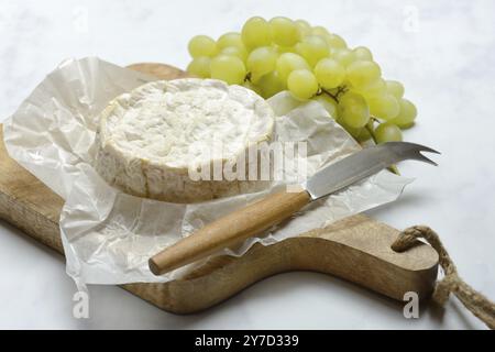 Französischer Camembert, Käse auf einem Holzbrett Stockfoto